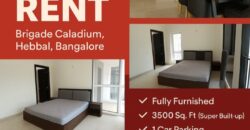 Flat for rent Hebbal Bangalore