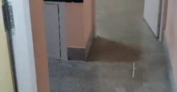 1 bhk flat for rent Mangalore
