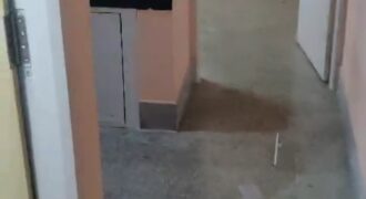 1 bhk flat for rent Mangalore