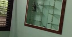3 bhk independent house for rent