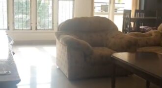 3 bhk furnished flat for rent